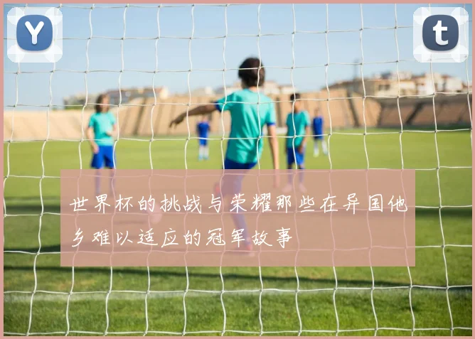 世界杯的挑战与荣耀那些在异国他乡难以适应的冠军故事